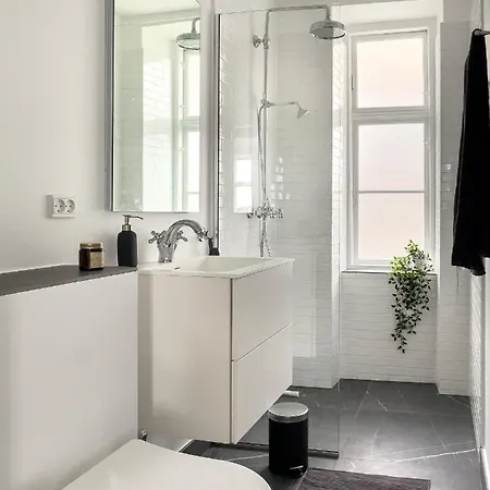Apartment Stylish Classic Danish Design Copenhagen