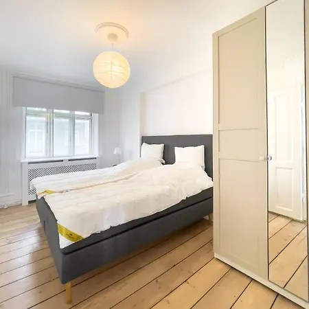 Apartment Stylish Classic Danish Design
